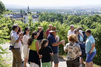 Drei-Berge-Tour durch die Lößnitz